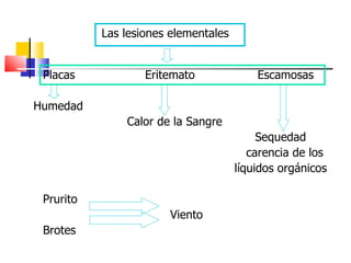 Las lesiones elementales


 Placas            Eritemato              Escamosas

Humedad
               Calor de la Sangre
                                           Sequedad
                                         carencia de los
                                      líquidos orgánicos

 Prurito
                       Viento
 Brotes
 