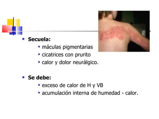    Secuela:
        máculas pigmentarias

        cicatrices con prurito

        calor y dolor neurálgico.




   Se debe:
         exceso de calor de H y VB

         acumulación interna de humedad - calor.
 
