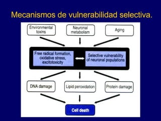 Mecanismos de vulnerabilidad selectiva. 