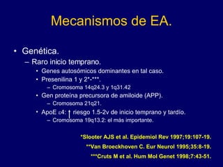 Mecanismos de EA. Genética. Raro inicio temprano. Genes autosómicos dominantes en tal caso. Presenilina 1 y 2*-***. Cromosoma 14q24.3 y 1q31.42 Gen proteína precursora de amiloide (APP). Cromosoma 21q21. ApoE   4:  riesgo 1.5-2v de inicio temprano y tardío. Cromosoma 19q13.2: el más importante. *Slooter AJS et al. Epidemiol Rev 1997;19:107-19. **Van Broeckhoven C. Eur Neurol 1995;35:8-19. ***Cruts M et al. Hum Mol Genet 1998;7:43-51. 