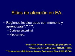 Sitios de afección en EA. Regiones involucradas con memoria y aprendizaje*.**.***. Corteza entorrinal. Hipocampo. *De Lacoste MC et al. Neurobiol Aging 1993;14:1-16. **Delacourte A et al. Neurology 1999;52:1158-65. ***Yilmazer-Hanke DM, Hanke J. Dement Geriatr Cogn Disord 1999;10:70-6. 
