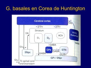 G. basales en Corea de Huntington 