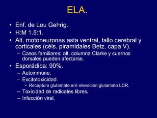ELA. Enf. de Lou Gehrig. H:M 1.5:1.  Alt. motoneuronas asta ventral, tallo cerebral y corticales (céls. piramidales Betz, capa V).  Casos familiares: alt. columna Clarke y cuernos dorsales pueden afectarse.  Esporádica: 90%. Autoinmune. Excitotoxicidad.  Recaptura glutamato anl: elevación glutamato LCR. Toxicidad de radicales libres. Infección viral. 