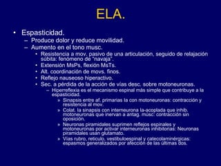 ELA. Espasticidad.  Produce dolor y reduce movilidad. Aumento en el tono musc. Resistencia a mov. pasivo de una articulación, seguido de relajación súbita: fenómeno de “navaja”.  Extensión MsPs, flexión MsTs. Alt. coordinación de movs. finos. Reflejo nauseoso hiperactivo. Sec. a pérdida de la acción de vías desc. sobre motoneuronas. Hiperreflexia es el mecanismo espinal más simple que contribuye a la espasticidad. Sinapsis entre af. primarias Ia con motoneuronas: contracción y resistencia al mov. Colat. Ia sinapsis con interneurona Ia-acoplada que inhib. motoneuronas que inervan a antag. músc: contracción sin oposición. Neuronas piramidales suprimen reflejos espinales y motoneuronas por activar interneuronas inhibitorias: Neuronas piramidales usan glutamato. Vías rubro, reticulo, vestibuloespinal y catecolaminérgicas: espasmos generalizados por afección de las últimas dos.  