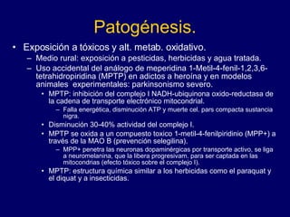 Patogénesis. Exposición a tóxicos y alt. metab. oxidativo. Medio rural: exposición a pesticidas, herbicidas y agua tratada.  Uso accidental del análogo de meperidina 1-Metil-4-fenil-1,2,3,6-tetrahidropiridina (MPTP) en adictos a heroína y en modelos animales  experimentales: parkinsonismo severo.  MPTP: inhibición del complejo I NADH-ubiquinona oxido-reductasa de la cadena de transporte electrónico mitocondrial.  Falla energética, disminución ATP y muerte cel. pars compacta sustancia nigra.  Disminución 30-40% actividad del complejo I.  MPTP se oxida a un compuesto toxico 1-metil-4-fenilpiridinio (MPP+) a través de la MAO B (prevención selegilina).  MPP+ penetra las neuronas dopaminérgicas por transporte activo, se liga a neuromelanina, que la libera progresivam. para ser captada en las mitocondrias (efecto tóxico sobre el complejo I).  MPTP: estructura química similar a los herbicidas como el paraquat y el diquat y a insecticidas.  