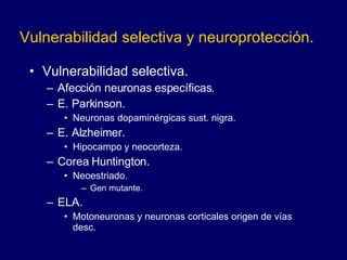 Vulnerabilidad selectiva y neuroprotección. Vulnerabilidad selectiva. Afección neuronas específicas.  E. Parkinson.  Neuronas dopaminérgicas sust. nigra.  E. Alzheimer.  Hipocampo y neocorteza.  Corea Huntington.  Neoestriado.  Gen mutante.  ELA.  Motoneuronas y neuronas corticales origen de vías desc. 