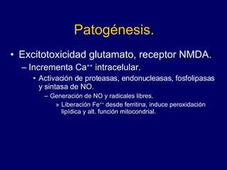 Patogénesis. Excitotoxicidad glutamato, receptor NMDA. Incrementa Ca ++  intracelular. Activación de proteasas, endonucleasas, fosfolipasas y sintasa de NO. Generación de NO y radicales libres. Liberación Fe ++  desde ferritina, induce peroxidación lipídica y alt. función mitocondrial.  