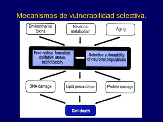 Mecanismos de vulnerabilidad selectiva. 