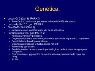 Genética. Locus Cr 2 (2p13): PARK 3  Autosómica dominante, penetrancia baja del 40%, demencia.  Locus 4p14-16.3: gen PARK 4.  Gen PARK 5 (UCH-L1).  Inclusiones sec. a déficit en la vía de la ubiquitina.  Formas recesivas: gen PARK 2.  Formas juveniles y precoses.  Degeneración de la  pars compacta  de la sustancia nigra y el L. coeruleus.  Sensibilidad a levodopa excelente.  Discinesias precoces y fluctuaciones “on-off”.  Problemas posturales.  Pérdida masiva de neuronas dopaminérgicas de la sustancia nigra  pars compacta.   Disminución en  pigmentos de neuromelanina y ausencia de cpos. de Lewy.  Cr 6q.  