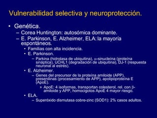 Vulnerabilidad selectiva y neuroprotección. Genética. Corea Huntington: autosómica dominante. E. Parkinson, E. Alzheimer, ELA: la mayoría espontáneos. Familias con alta incidencia.  E. Parkinson.  Parkina (hidrolasa de ubiquitina),   -sinucleína (proteína sináptica), UCHL1 (degradación de ubiquitina), DJ-1 (respuesta neuronal al estrés). E. Alzheimer.  Genes del precursor de la proteína amiloide (APP), presenilinas (procesamiento de APP), apolipoproteína E (ApoE).  ApoE: 4 isoformas, transportan colesterol, rel. con   -amiloide y APP, homocigotos ApoE 4 mayor riesgo. ELA. Superóxido dismutasa cobre-zinc (SOD1): 2% casos adultos. 