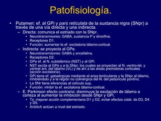 Patofisiología. Putamen: ef. al GPi y  pars reticulata  de la sustancia nigra (SNpr) a través de una vía directa y una indirecta.  Directa: comunica el estriado con la SNpr. Neurotransmisores: GABA, sustancia P y dinorfina.  Receptores D1.  Función: aumentar la ef. excitatoria tálamo-cortical. Indirecta: se proyecta al GPe.  Neurotransmisores: GABA y encefalina.  Receptores D2. GPe ef. al N. subtalámico (NST) y al GPi.  NST excita al GPe y a la SNpr, los cuales se proyectan al N. ventro-lat. y ventral ant. del tálamo (VL) y de ahí a las áreas premotoras corticales (acción excitatoria).  GPi tiene ef. gabaérgicas mediante el ansa lenticulares y la SNpr al tálamo, inhibiéndolo y a la región no colinérgica del N. del pedúnculo pontino.  La SNr tiene eferencias al colículo sup.  Función: inhibir la ef. excitatoria tálamo-cortical. E. Parkinson  efecto contrario: disminuye la excitación de tálamo a corteza al aumentar la inhibición desde SNpr y GPi. Tx: mejorar acción complementaria D1 y D2, evitar efectos colat. de D3, D4 y D5.  AntiAch actúan a nivel del estriado. 