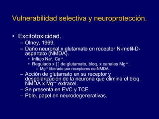 Vulnerabilidad selectiva y neuroprotección. Excitotoxicidad. Olney, 1969. Daño neuronal x glutamato en receptor N-metil-D-aspartato (NMDA).  Influjo Na + , Ca ++ .  Regulado x [ ] de glutamato, bloq. x canales Mg ++ . Mg ++  liberado por receptores no-NMDA. Acción de glutamato en su receptor y despolarización de la neurona que elimina el bloq. NMDA x Mg ++  extracel. Se presenta en EVC y TCE. Pble. papel en neurodegenerativas. 