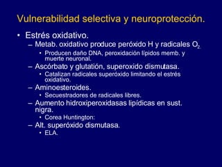 Vulnerabilidad selectiva y neuroprotección. Estrés oxidativo. Metab. oxidativo produce peróxido H y radicales O 2.   Producen daño DNA, peroxidación lípidos memb. y muerte neuronal. Ascórbato y glutatión, superoxido dismutasa.  Catalizan radicales superóxido limitando el estrés oxidativo. Aminoesteroides.  Secuestradores de radicales libres. Aumento hidroxiperoxidasas lipídicas en sust. nigra.  Corea Huntington:  Alt. superóxido dismutasa.  ELA. 