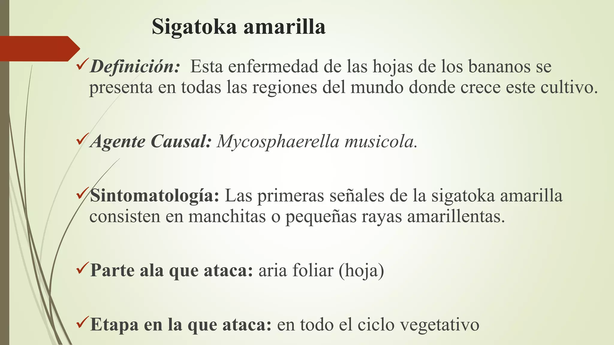 Enfermedades del las musaceas | PPTX