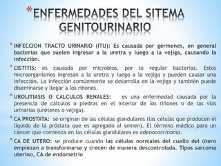 *INFECCION TRACTO URINARIO (ITU): Es causada por gérmenes, en general
bacterias que suelen ingresar a la uretra y luego a la vejiga, causando la
infección.
*CISTITIS: es causada por microbios, por lo regular bacterias. Estos
microorganismos ingresan a la uretra y luego a la vejiga y pueden causar una
infección. La infección comúnmente se desarrolla en la vejiga y también puede
diseminarse y llegar a los riñones.
*UROLITIASIS O CALCULOS RENALES: es una enfermedad causada por la
presencia de cálculos o piedras en el interior de los riñones o de las vías
urinarias (uréteres o vejiga).
*CA PROSTATA: se originan de las células glandulares (las células que producen el
líquido de la próstata que es agregado al semen). El término médico para un
cáncer que comienza en las células glandulares es adenocarcinoma.
*CA DE UTERO: se produce cuando las células normales del cuello del útero
empiezan a transformarse y crecen de manera descontrolada. Tipos sarcoma
uterino, CA de endometrio
*
 