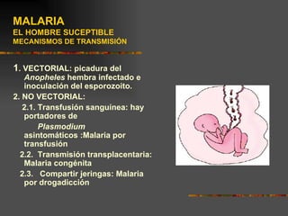MALARIA
EL HOMBRE SUCEPTIBLE
MECANISMOS DE TRANSMISIÓN


1. VECTORIAL: picadura del
   Anopheles hembra infectado e
   inoculación del esporozoito.
2. NO VECTORIAL:
   2.1. Transfusión sanguínea: hay
   portadores de
        Plasmodium
   asintomáticos :Malaria por
   transfusión
  2.2. Transmisión transplacentaria:
   Malaria congénita
  2.3. Compartir jeringas: Malaria
   por drogadicción
 