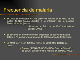 Frecuencia de malaria
   En 2001 se notificaron 64,265 casos de malaria en el Perú, de los
    cuales 13,428 fueron debidos a la infección por la especie
    Plasmodium falciparum.
                         (Situación de Salud en el Perú Indicadores
                         Básicos 2002).

   Se observó un incremento de la proporción de casos de malaria
    debido a P. falciparum para luego de 1999 descender lentamente.

   En 1991 fue 1% ,en 1999 fue 43% y en 2001 21% del total de
    casos.
                 Fuente: ( RENACE/OGE/MINSA. Sala de Situación
                  de Salud. Situación de la malaria en el Perú, 1999).
 