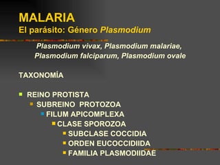 MALARIA
El parásito: Género Plasmodium
     Plasmodium vivax, Plasmodium malariae,
     Plasmodium falciparum, Plasmodium ovale

TAXONOMÍA

   REINO PROTISTA
      SUBREINO PROTOZOA

         FILUM APICOMPLEXA

             CLASE SPOROZOA
                SUBCLASE COCCIDIA

                ORDEN EUCOCCIDIIDA

                FAMILIA PLASMODIIDAE
 