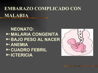 EMBARAZO COMPLICADO CON
MALARIA

  NEONATO:
º MALARIA CONGENITA
º BAJO PESO AL NACER
º ANEMIA
º CUADRO FEBRIL
º ICTERICIA
 