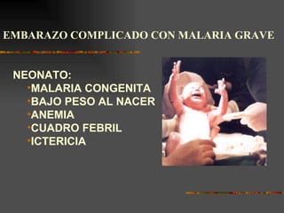 EMBARAZO COMPLICADO CON MALARIA GRAVE


 NEONATO:
   •MALARIA CONGENITA
   •BAJO PESO AL NACER
   •ANEMIA
   •CUADRO FEBRIL
   •ICTERICIA
 