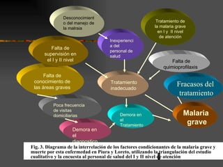 Desconocimient
               o del manejo de                              Tratamiento de
               la malraia                                  la malaria grave
                                                             en I y II nivel
                                                              de atención
                                      Inexperienci
                                      a del
         Falta de
                                      personal de
      supervisión en                  salud
       el I y II nivel                                             Falta de
                                                               quimioprofilaxis
      Falta de
 conocimiento de                      Tratamiento
 las áreas graves                     inadecuado
                                                                       Fracasos del
                                                                        tratamiento
          Poca frecuencia
          de visitas
          domiciliarias                    Demora en                      Malaria
                                           el
                                           Tratamiento
                                                                           grave
                     Demora en
                     el
                     diagnostico
Fig. 3. Diagrama de la interrelación de los factores condicionantes de la malaria grave y
muerte por esta enfermedad en Piura y Loreto, utilizando la triangulación del estudio
cualitativo y la encuesta al personal de salud del I y II nivel de atención
                                                                 .
 