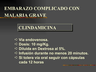 EMBARAZO COMPLICADO CON
MALARIA GRAVE

     CLINDAMICINA

   Á Vía endovenosa.
   Á Dosis: 10 mg/Kg.
   Á Diluida en Dextrosa al 5%.
   Á Infusión durante no menos 20 minutos.
   Á Si tolera vía oral seguir con cápsulas
     cada 12 horas
 