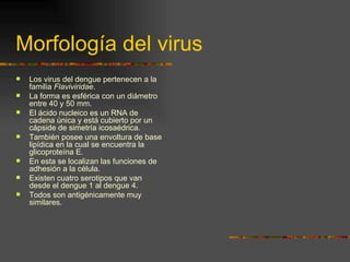 Morfología del virus
   Los virus del dengue pertenecen a la
    familia Flaviviridae.
   La forma es esférica con un diámetro
    entre 40 y 50 mm.
   El ácido nucleico es un RNA de
    cadena única y está cubierto por un
    cápside de simetría icosaédrica.
   También posee una envoltura de base
    lipídica en la cual se encuentra la
    glicoproteína E.
   En esta se localizan las funciones de
    adhesión a la célula.
   Existen cuatro serotipos que van
    desde el dengue 1 al dengue 4.
   Todos son antigénicamente muy
    similares.
 