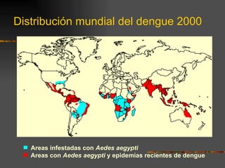 Distribución mundial del dengue 2000




   Areas infestadas con Aedes aegypti
   Areas con Aedes aegypti y epidemias recientes de dengue
 