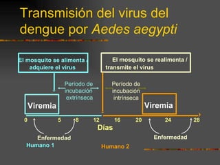 Transmisión del virus del
dengue por Aedes aegypti

El mosquito se alimenta /                  El mosquito se realimenta /
    adquiere el virus                   transmite el virus

                    Período de            Período de
                    incubación            incubación
                     extrínseca            intrínseca
      Viremia                                           Viremia
  0             5       8         12       16      20        24          28
                                   Días
     Enfermedad                                           Enfermedad
  Humano 1                             Humano 2
 