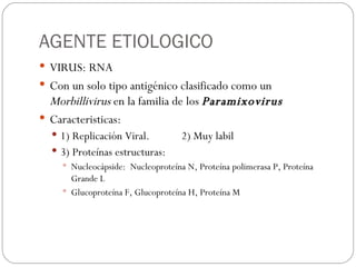 AGENTE ETIOLOGICO VIRUS: RNA Con un solo tipo antigénico clasificado como un  Morbillivirus  en la familia de los  Paramixovirus Caracteristicas: 1) Replicación Viral.  2) Muy labil  3) Proteínas estructuras:  Nucleocápside:  Nucleoproteína N, Proteína polimerasa P, Proteína Grande L  Glucoproteína F, Glucoproteína H, Proteína M  