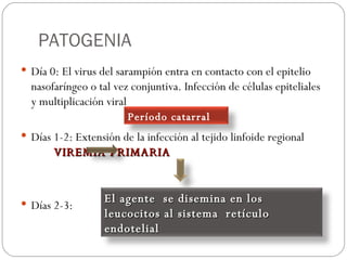 PATOGENIA Día 0: El virus del sarampión entra en contacto con el epitelio nasofaríngeo o tal vez conjuntiva. Infección de células epiteliales y multiplicación viral Días 1-2: Extensión de la infección al tejido linfoide regional  VIREMIA PRIMARIA Días 2-3: El agente  se disemina en los leucocitos al sistema  retículo endotelial Período catarral 