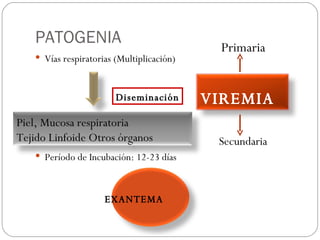 PATOGENIA Vías respiratorias (Multiplicación) Período de Incubación: 12-23 días EXANTEMA Diseminación Primaria Secundaria Piel, Mucosa respiratoria Tejido Linfoide Otros órganos VIREMIA 
