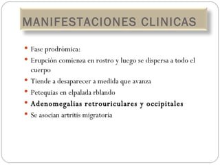 Fase prodrómica:  Erupción comienza en rostro y luego se dispersa a todo el cuerpo Tiende a desaparecer a medida que avanza Petequias en elpalada rblando Adenomegalias retrouriculares y occipitales Se asocian artritis migratoria MANIFESTACIONES CLINICAS 