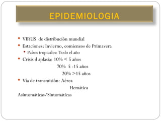 VIRUS  de distribución mundial Estaciones: Invierno, comienzos de Primavera Países tropicales: Todo el año Crisis d aplasia: 10% < 5 años   70%  5 -15 años   20% >15 años Vía de transmisión: Aérea   Hemática Asintomáticas/Sintomáticas EPIDEMIOLOGIA 