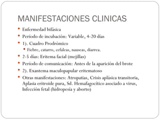 MANIFESTACIONES CLINICAS Enfermedad bifásica Período de incubación: Variable, 4-20 días  1). Cuadro Prodrómico Fiebre, catarro, cefaleas, nauseas, diarrea. 2-5 días: Eritema facial (mejillas) Período de comunicación: Antes de la aparición del brote 2). Exantema maculopapular eritematoso Otras manifestaciones: Atropatias, Crisis aplásica transitoria, Aplasia eritroide pura, Sd. Hemafagocítico asociado a virus, Infección fetal (hidropesía y aborto) 