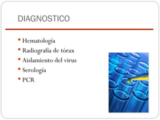 DIAGNOSTICO Hematología Radiografía de tórax Aislamiento del virus Serología PCR 