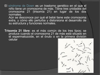 El  síndrome de Down  es un trastorno genético en el que el niño tiene un cromosoma de más. Tiene tres unidades del cromosoma 21 (trisomía 21) en lugar de los dos normales. Aún se desconoce por qué el bebé tiene este cromosoma extra, y cómo ello perturba y distorsiona el desarrollo de su estructura y funciones normales. Trisomia 21 libre : es el más común de los tres tipos; se produce cuando el cromosoma 21 de más está situado en el espermatozoide, en el óvulo o en la primera división celular  