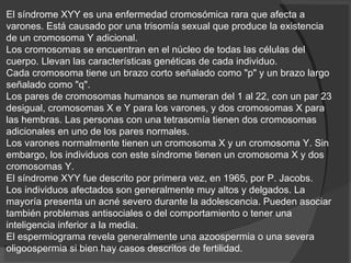 El síndrome XYY es una enfermedad cromosómica rara que afecta a varones. Está causado por una trisomía sexual que produce la existencia de un cromosoma Y adicional.  Los cromosomas se encuentran en el núcleo de todas las células del cuerpo. Llevan las características genéticas de cada individuo.  Cada cromosoma tiene un brazo corto señalado como "p" y un brazo largo señalado como "q".  Los pares de cromosomas humanos se numeran del 1 al 22, con un par 23 desigual, cromosomas X e Y para los varones, y dos cromosomas X para las hembras. Las personas con una tetrasomía tienen dos cromosomas adicionales en uno de los pares normales.  Los varones normalmente tienen un cromosoma X y un cromosoma Y. Sin embargo, los individuos con este síndrome tienen un cromosoma X y dos cromosomas Y.  El síndrome XYY fue descrito por primera vez, en 1965, por P. Jacobs.  Los individuos afectados son generalmente muy altos y delgados. La mayoría presenta un acné severo durante la adolescencia. Pueden asociar también problemas antisociales o del comportamiento o tener una inteligencia inferior a la media.  El espermiograma revela generalmente una azoospermia o una severa oligoospermia si bien hay casos descritos de fertilidad.  