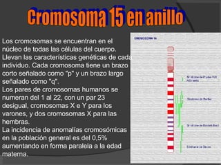 Cromosoma 15 en anillo Los cromosomas se encuentran en el núcleo de todas las células del cuerpo. Llevan las características genéticas de cada individuo. Cada cromosoma tiene un brazo corto señalado como "p" y un brazo largo señalado como "q".  Los pares de cromosomas humanos se numeran del 1 al 22, con un par 23 desigual, cromosomas X e Y para los varones, y dos cromosomas X para las hembras.  La incidencia de anomalías cromosómicas en la población general es del 0,5% aumentando en forma paralela a la edad materna.  