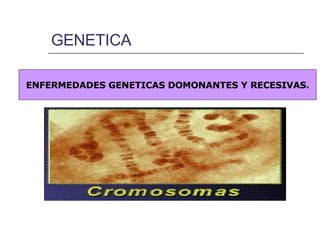 GENETICA  ENFERMEDADES GENETICAS DOMONANTES Y RECESIVAS. 