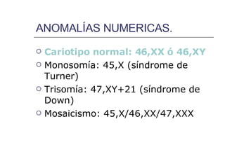 ANOMALÍAS NUMERICAS. Cariotipo normal: 46,XX ó 46,XY Monosomía: 45,X (síndrome de Turner) Trisomía: 47,XY+21 (síndrome de Down) Mosaicismo: 45,X/46,XX/47,XXX 