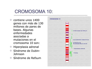 CROMOSOMA 10: contiene unos 1400 genes con más de 130 millones de pares de bases. Algunas enfermedades asociadas a mutaciones en el cromosoma 10 son:  Hiperplasia adrenal  Síndrome de Dubin-Johnson Síndrome de Refsum  