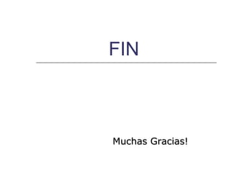 FIN  Muchas Gracias! 