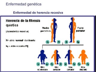 Enfermedad genética   Enfermedad de herencia recesiva 