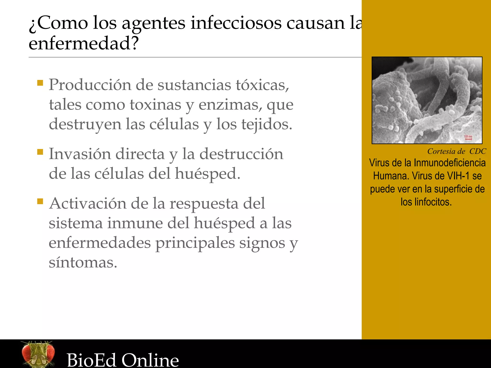 Enfermedades infecciosas | PPT | Cold and Flu | Diseases and Conditions