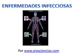 Por www.areaciencias.com
 