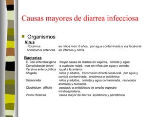 Causas mayores de diarrea infecciosa

    Organismos
    Virus
    Rotavirus               en niños men. 6 años, por agua contaminada y vía fecal-oral
    Adenovirus entéricos    en infantes y niños.

Bacterias
    E. Coli enterotoxígena mayor causa de diarrea en viajeros, comida y agua.
    Campilobacter jejuni     a cualquier edad, más en niños por agua y comida.
    Yersinia enterocolítica igual a la anterior.
    Shigella                 niños y adultos, transmisión directa fecal-oral, por agua y
                            comida contaminada, endémica o epidémica
    Salmonella               niños y adultos, comida y agua contaminada, resrvorios
                            animales y humanos.
    Clostridium difficile    asociado a antibióticos de amplio espectro
                            intrahospitalaria.
    Vibrio cholerae          causa mayor de diarrea epidémica y pandémica.
 