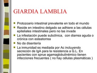 GIARDIA LAMBLIA
   Protozoario intestinal prevalente en todo el mundo
   Reside en intestino delgado se adhiere a las células
    epiteliales intestinales pero no las invade
   La infestación puede subclínica, con diarrea aguda o
    crónica con esteatorrea
   No da disentería
   La inmunidad es mediada por Ac incluyendo
    secreción de IgA para la resistencia a G.L. En
    pacientes con sprue agamaglobulinémico tienen
    infecciones frecuentes ( no hay células plasmáticas )
 