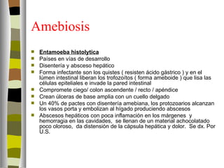 Amebiosis
   Entamoeba histolytica
   Países en vías de desarrollo
   Disentería y absceso hepático
   Forma infectante son los quistes ( resisten ácido gástrico ) y en el
    lúmen intestinal liberan los trofozoítos ( forma ameboide ) que lisa las
    células epiteliales e invade la pared intestinal
   Compromete ciego/ colon ascendente / recto / apéndice
   Crean úlceras de base amplia con un cuello delgado
   Un 40% de pactes con disentería amebiana, los protozoarios alcanzan
    los vasos porta y embolizan al hígado produciendo abscesos
   Abscesos hepáticos con poca inflamación en los márgenes y
    hemorragia en las cavidades, se llenan de un material achocolatado
    poco oloroso, da distensión de la cápsula hepática y dolor. Se dx. Por
    U.S.
 