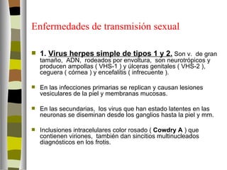 Enfermedades de transmisión sexual

   1. Virus herpes simple de tipos 1 y 2. Son v. de gran
    tamaño, ADN, rodeados por envoltura, son neurotrópicos y
    producen ampollas ( VHS-1 ) y úlceras genitales ( VHS-2 ),
    ceguera ( córnea ) y encefalitis ( infrecuente ).

   En las infecciones primarias se replican y causan lesiones
    vesiculares de la piel y membranas mucosas.

   En las secundarias, los virus que han estado latentes en las
    neuronas se diseminan desde los ganglios hasta la piel y mm.

   Inclusiones intracelulares color rosado ( Cowdry A ) que
    contienen viriones, también dan sincitios multinucleados
    diagnósticos en los frotis.
 